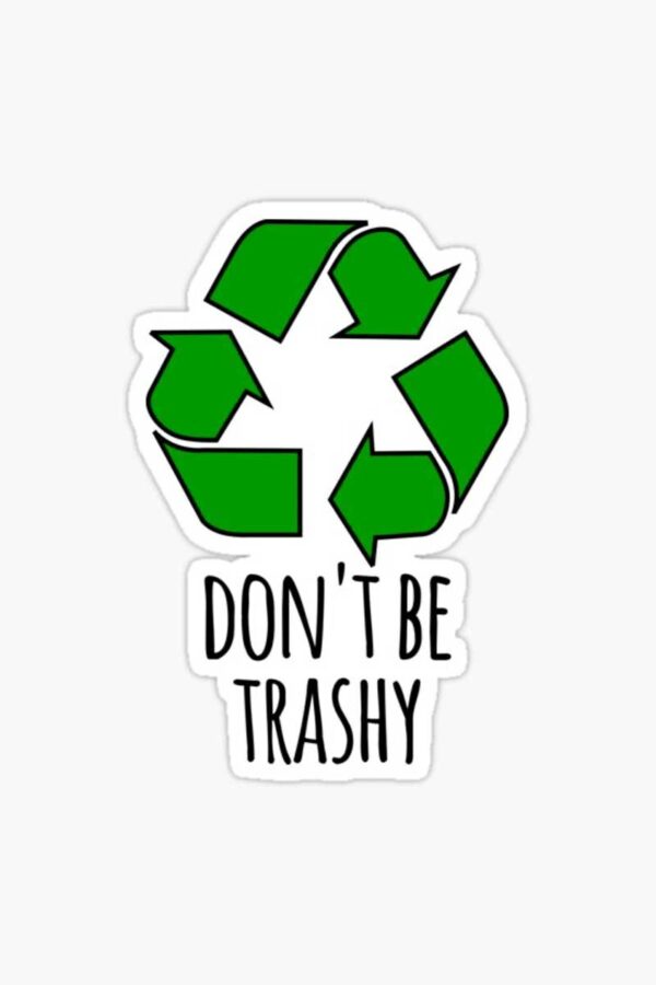 Dont Be Trashy Sticker img